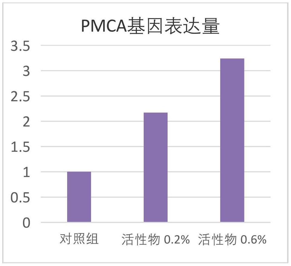 一种具有调控皮肤细胞钙离子作用的欧洲赤松芽提取物及其制备方法与应用与流程