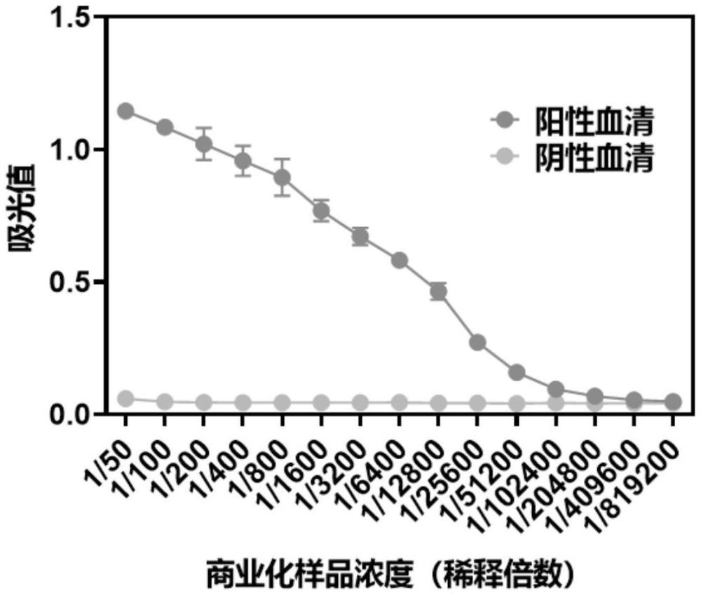 重组大肠杆菌及其在检测布鲁氏菌病中的应用