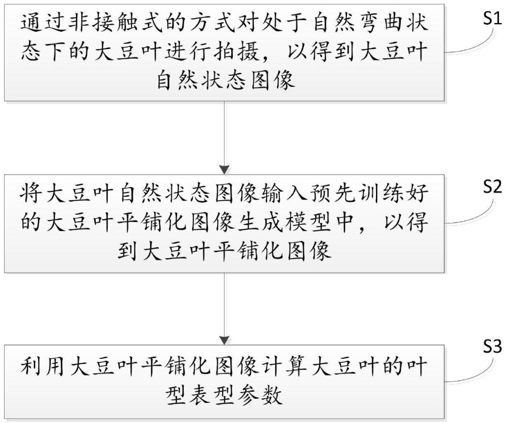 基于大豆叶平铺化图像生成模型的叶子表型参数计算方法