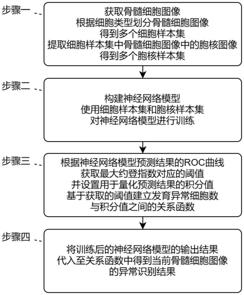 基于神经网络的骨髓造血细胞发育异常的识别方法