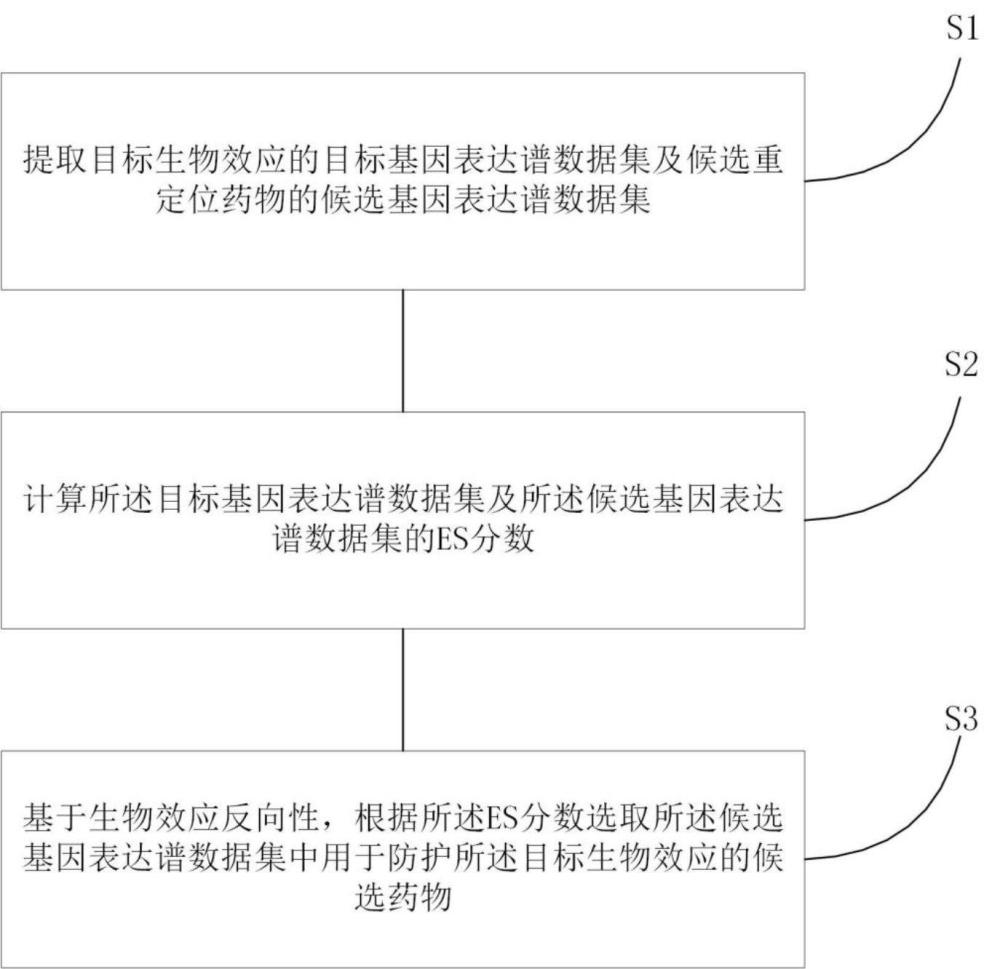 一种γ射线辐射损伤防护重定位药物的辨识预测方法