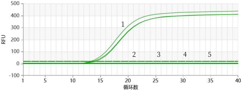 一种嗜渗酵母菌检测引物组及其试剂盒的制作方法