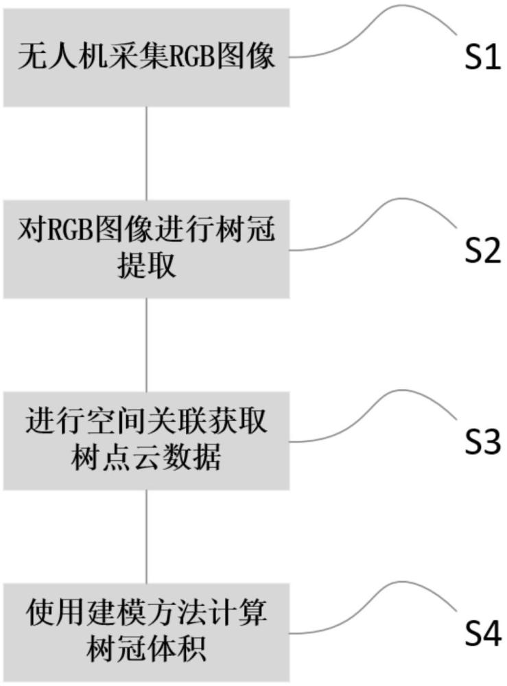 基于激光雷达与遥感影像的单株树冠提取方法及系统