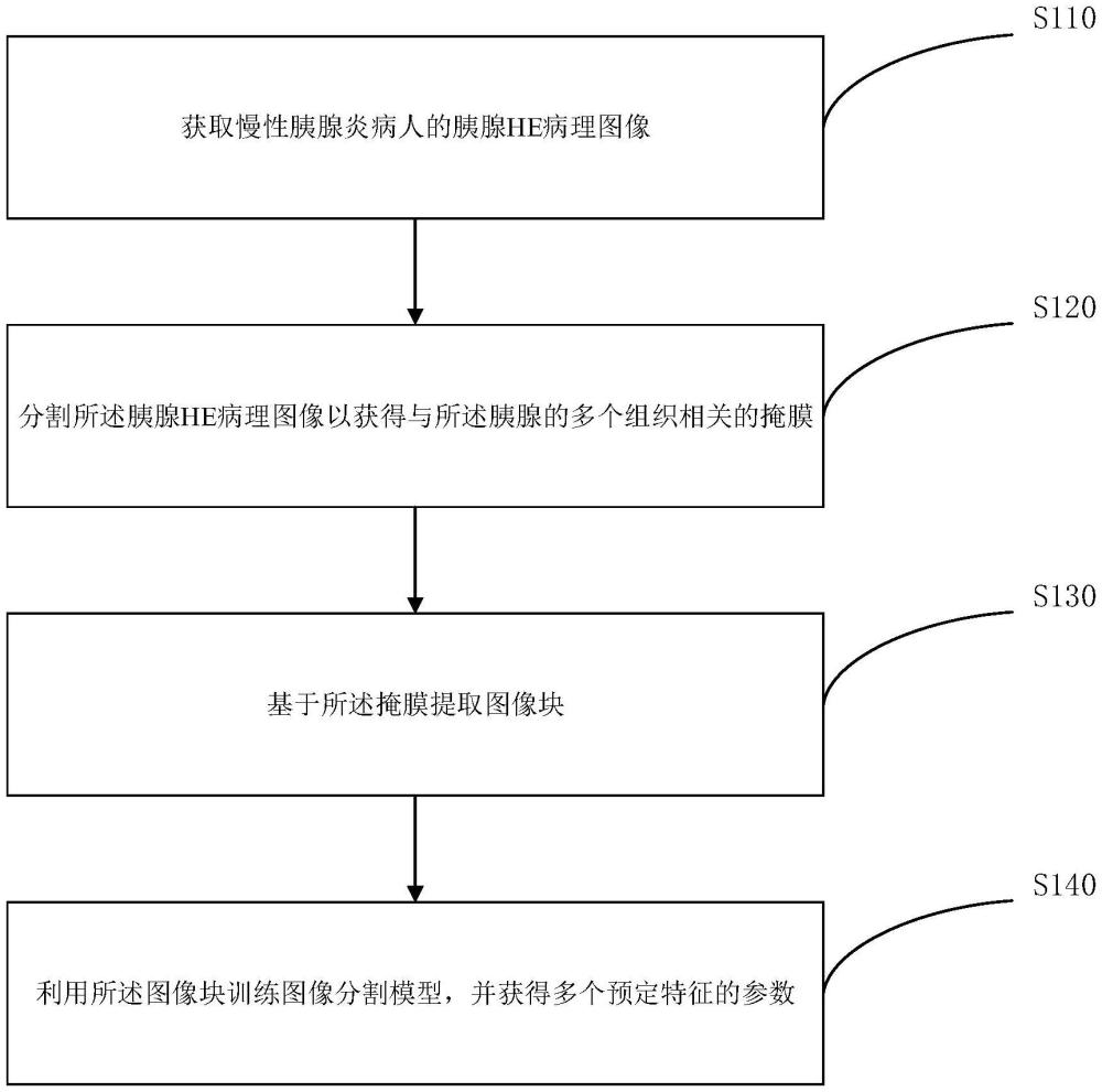 慢性胰腺炎病理分型预测方法