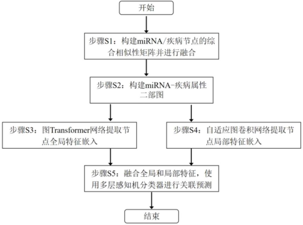 一种基于全局和局部图表示学习的miRNA疾病关联预测方法