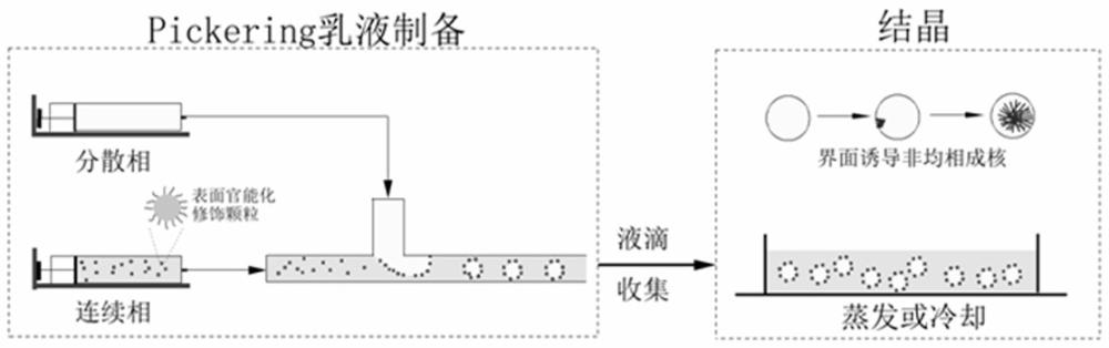 一种基于官能化胶体颗粒稳定Pickering乳液的药物晶型控制方法