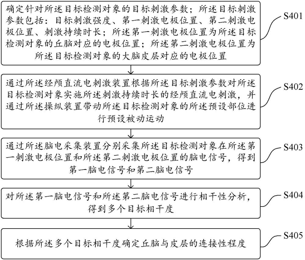 一种丘脑-皮层连接性检测方法及相关装置与流程