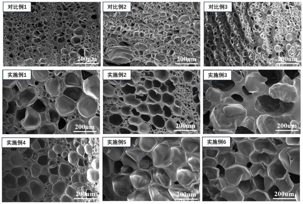 一种高发泡倍率4-甲基戊烯聚合物珠粒发泡材料及其高效制备方法