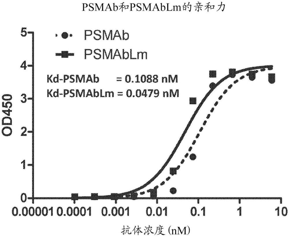 抗PSMA抗体、其变体及其用途的制作方法