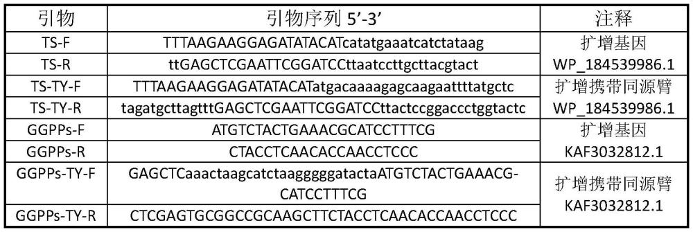 一种链霉菌萜类合成酶SbDS及其应用