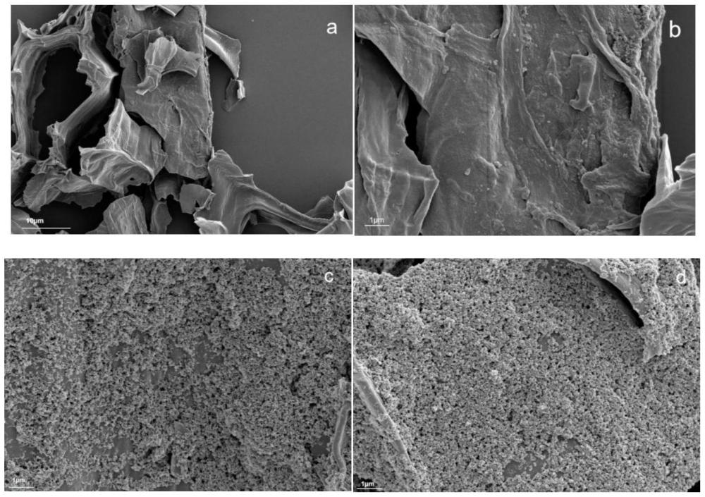 一种基于苔藓的改性生物炭、制备方法、应用，及改性生物炭应用于豆科植物的种植方法