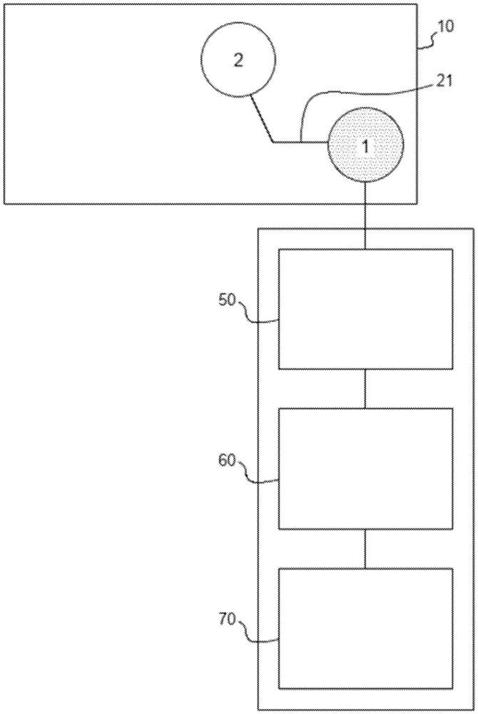 使用大规模神经活动确定生物样品对生物模型的影响的体外或离体方法与流程