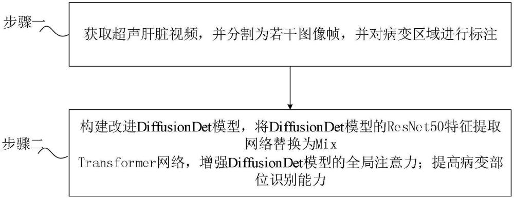 基于DDet模型的超声肝脏检测追踪方法