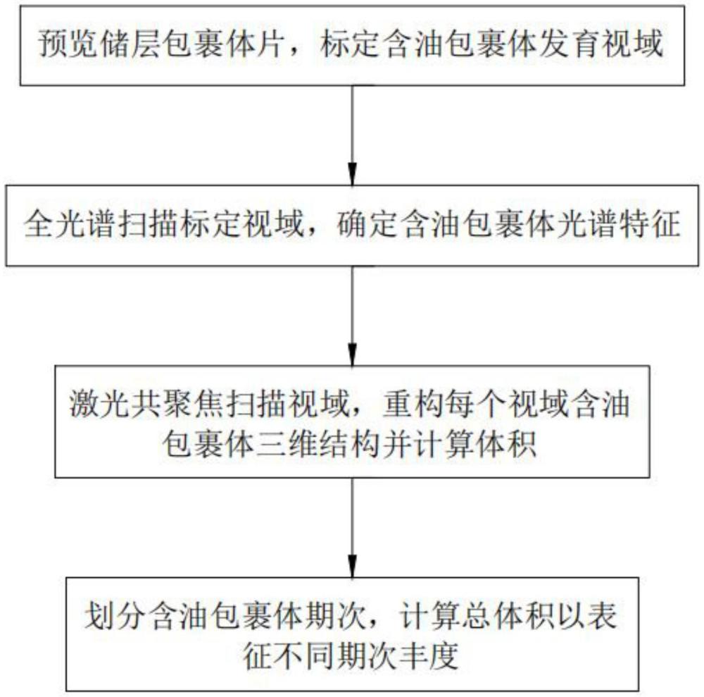 基于激光共聚焦扫描技术表征含油包裹体丰度的方法