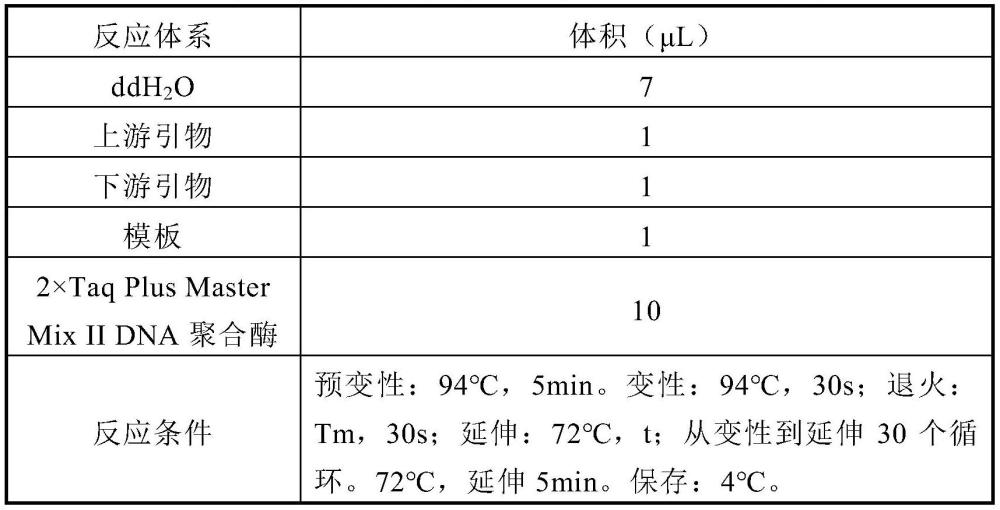 阿魏酰辅酶A6’-羟化酶表面突变体及其应用