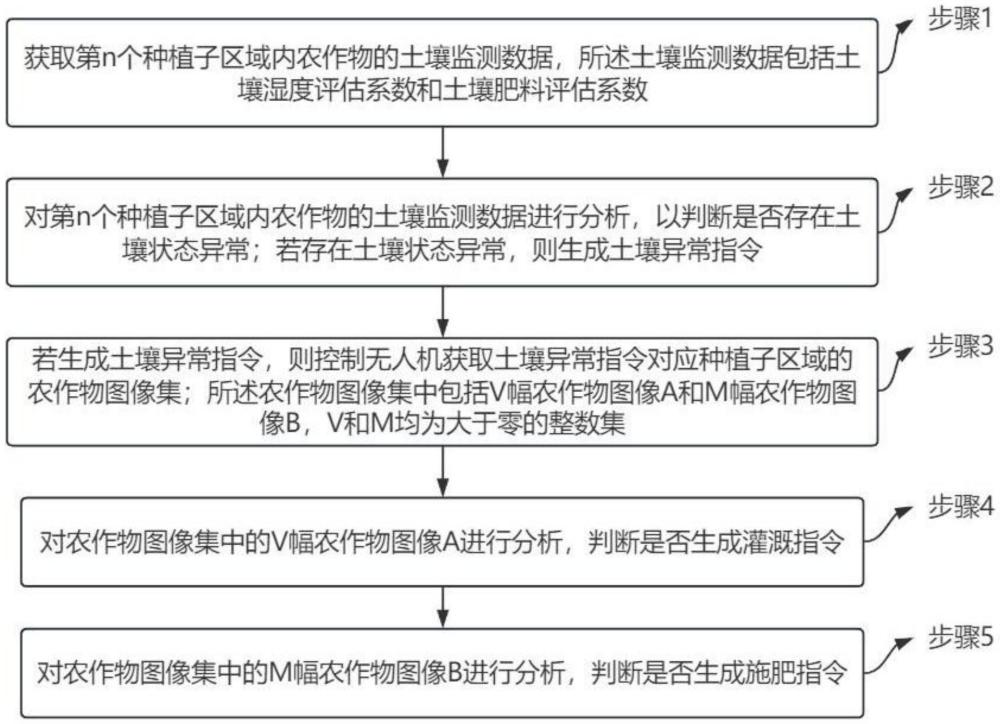 基于图像分析的连翘套种魔芋生长智能决策方法及系统与流程