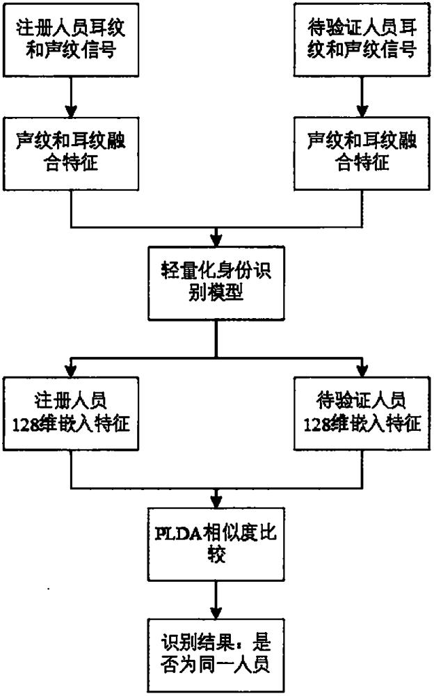 一种联合声纹耳纹特征的轻量化身份识别方法