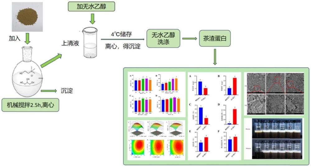 一种基于深共晶溶剂体系茶渣蛋白的提取方法及其应用