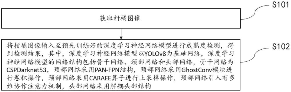 基于改进YOLOv8的柑橘成熟度检测方法和相关装置