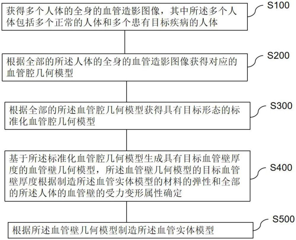 用于医学实验的血管实体模型及其制造方法与流程