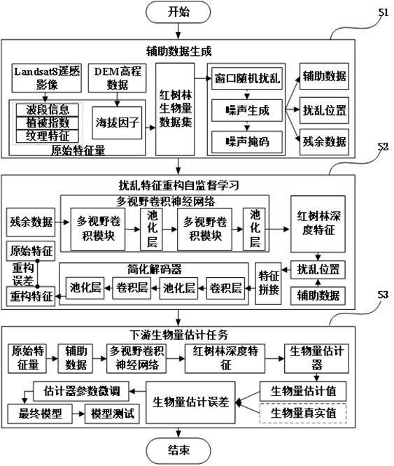 一种基于自监督扰乱特征重构网络的小样本红树林生物量估计方法