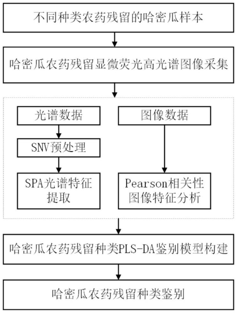 一种融合显微荧光高光谱成像特征信息的哈密瓜农药残留定性检测方法