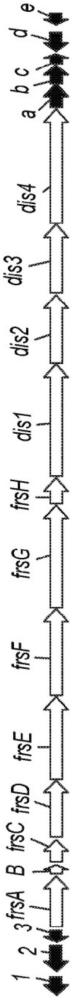 抗体药物缀合物及其制备方法与流程