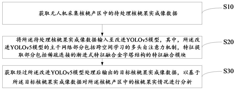 基于改进YOLOv5模型的核桃果实图像处理方法、系统及存储介质