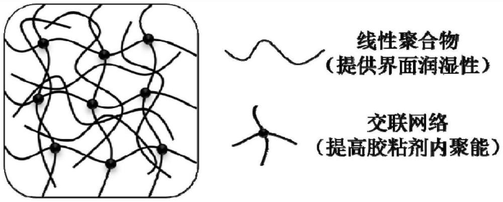 一种干湿两用半互穿聚合物网络压敏胶及其制备方法和胶带