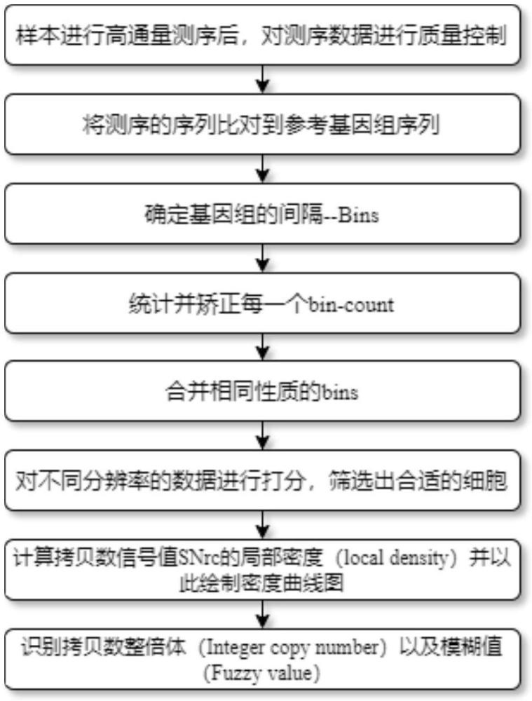 一种基于密度曲线的DNA拷贝数检测方法及系统与流程