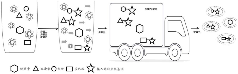 基于一体化衍生与固相萃取的连续反应平台的神经递质检测方法与流程