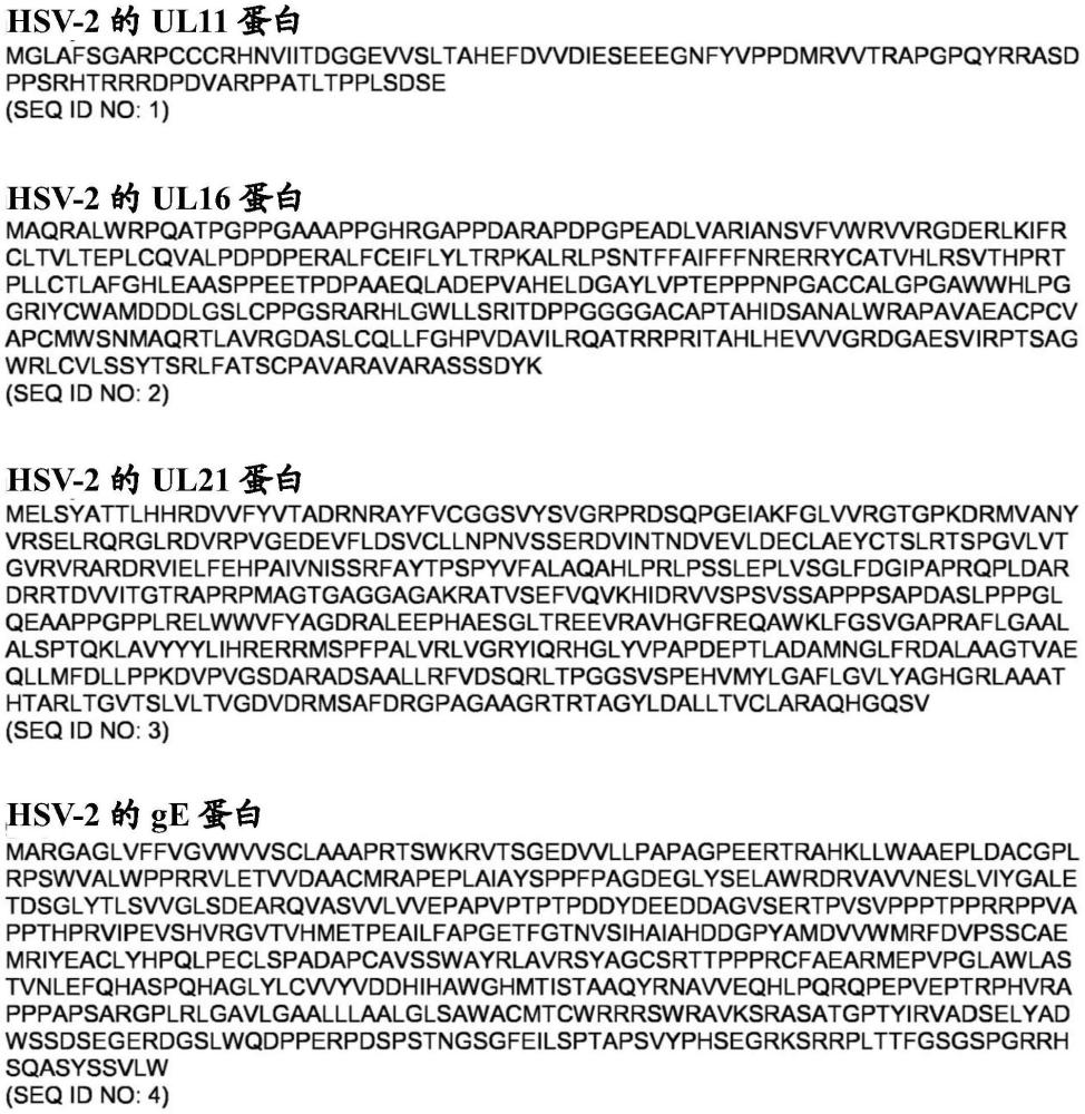 用于治疗HSV的手段和方法与流程