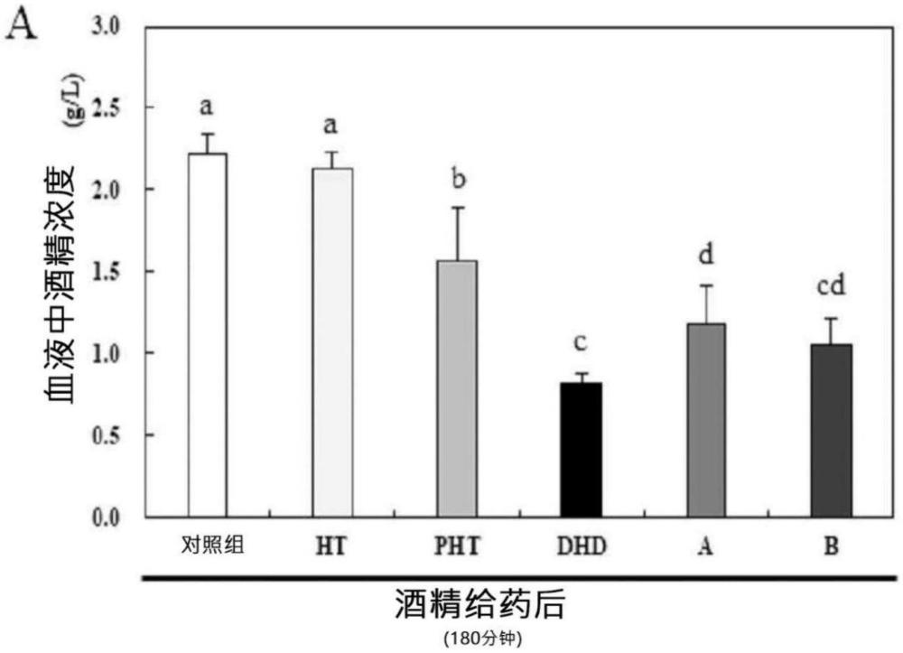 具有解酒及护肝功效的发酵枳椇的制备方法以及以此为主要原料制备的饮料组合物与流程