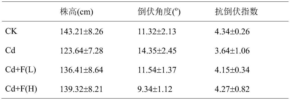 一种多糖基肥料在重金属胁迫条件下提高植物根部机械强度及抗倒伏性能上的应用