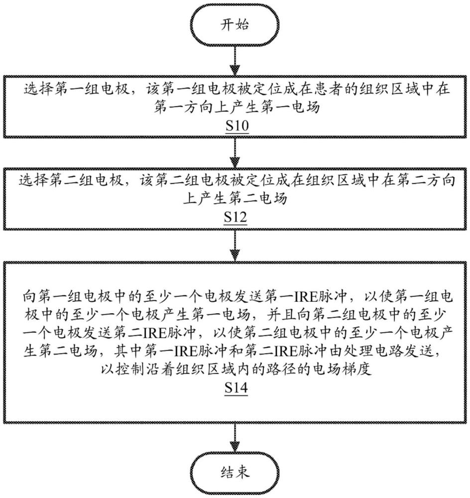 定向脉冲电场消融的制作方法