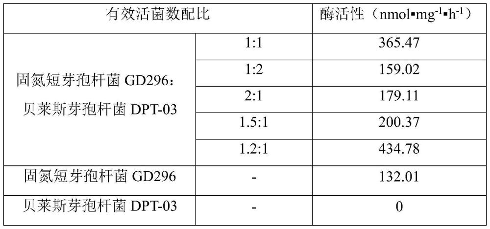 一种能够提高植物固氮能力的复合菌剂及其应用的制作方法