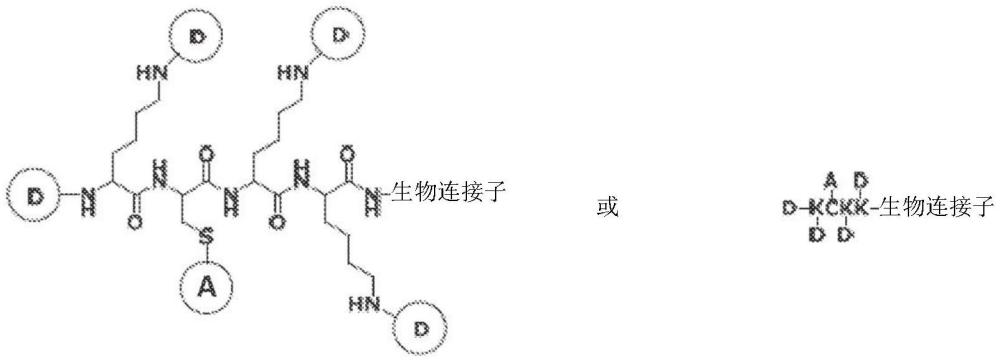 含侧基发色团的水溶性聚合染料的制作方法